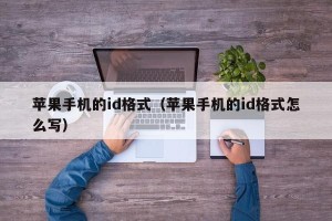 苹果手机的id格式（苹果手机的id格式怎么写）