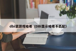 dbi装游戏哈希（DBI显示哈希不匹配）