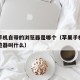 苹果手机自带的浏览器是哪个（苹果手机自带的浏览器叫什么）