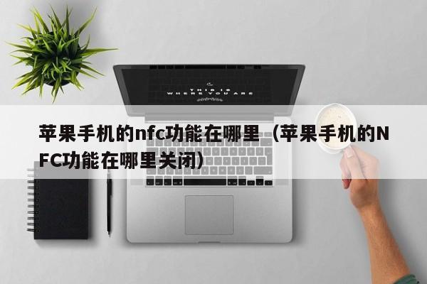 苹果手机的nfc功能在哪里(苹果手机的NFC功能在哪里关闭)